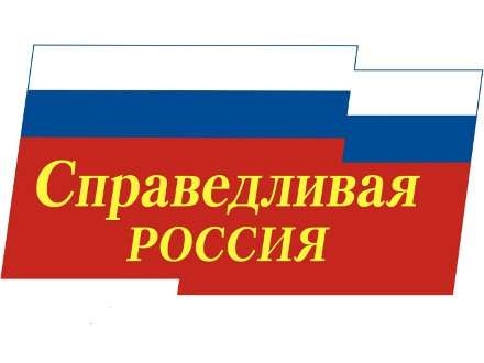 Выборы в Госдуму: Справедливая Россия. Доходы