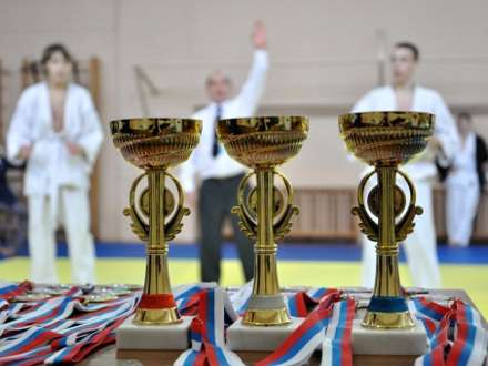 В Архангельске пройдут Чемпионат и Первенство города по кёкусинкай каратэ