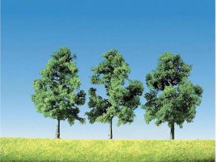 Tree to plant for everyone