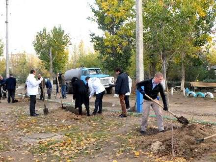 Кедровая аллея появилась на Майской горке в Архангельске