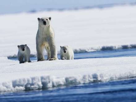 Арктика — для туристов