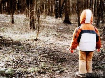 10-летнюю потеряшку нашли живой в лесу в Устьянском районе