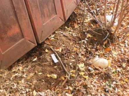 В столице Поморья злоумышленник украл лыжи из гаража, сделав подкоп