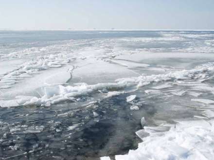 В Архангельской области 8-летний ребенок провалился под лед