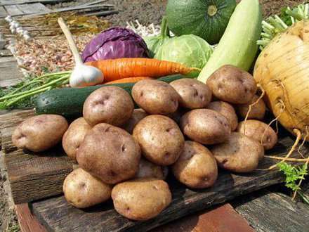 Продукты дешевеют?