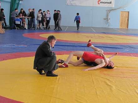 Двойной бронзовый успех северодвинских «вольников»