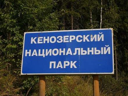Прокуратура выявила многочисленные нарушения закона в Кенозерском парке