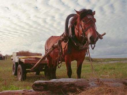 «Lomonosov wagon-train» at the tape