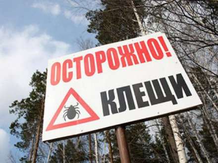 Суициды растут, начинается сезон клещей, а кори в Поморье нет