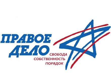 Выборы в Госдуму: Правое Дело. Доходы