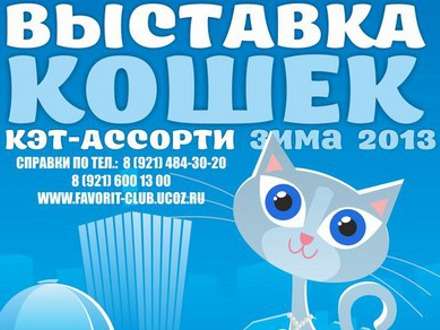 В Архангельске пройдёт X международная выставка кошек