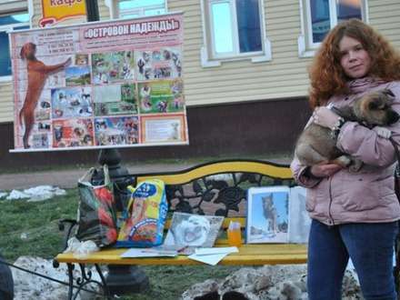 «Островок надежды» для братьев наших меньших