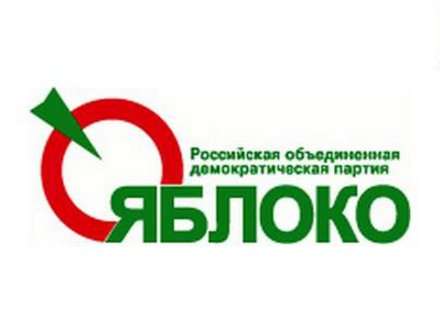 Выборы в Госдуму: Яблоко. Доходы
