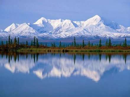 Участники экспедиции «7 вершин Аляски» встретили на своем пути первую живность