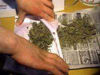 Около 100 граммов гашиша и 300 граммов марихуаны изъято из тайника в Северодвинске