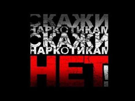 Участников форума «Дети Поморья» пригласили работать в наркоконтроль