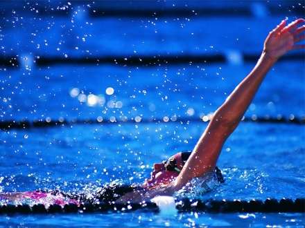 В Чемпионате Европы будет участвовать архангельская пловчиха