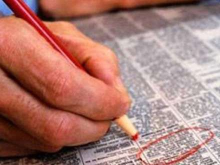 Дни службы занятости в отдалённых деревнях Пинежья