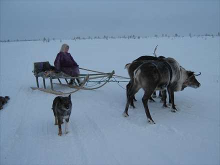 В зиму Ненецкий округ входит с запасами согласно нормативам