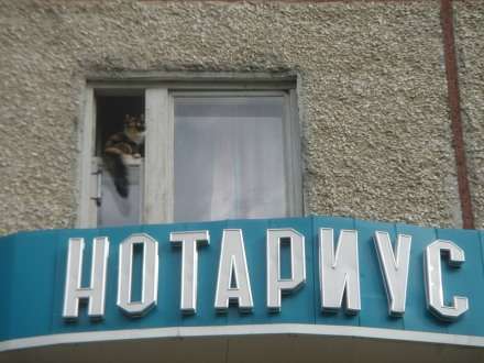 Нотариусы и адвокаты консультируют бесплатно